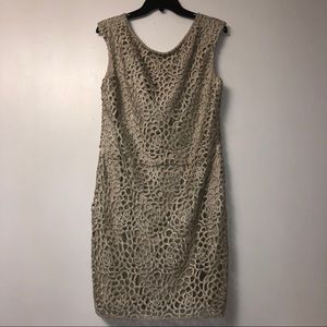 NWOT Eliza J Champagne Lace Dress size 12